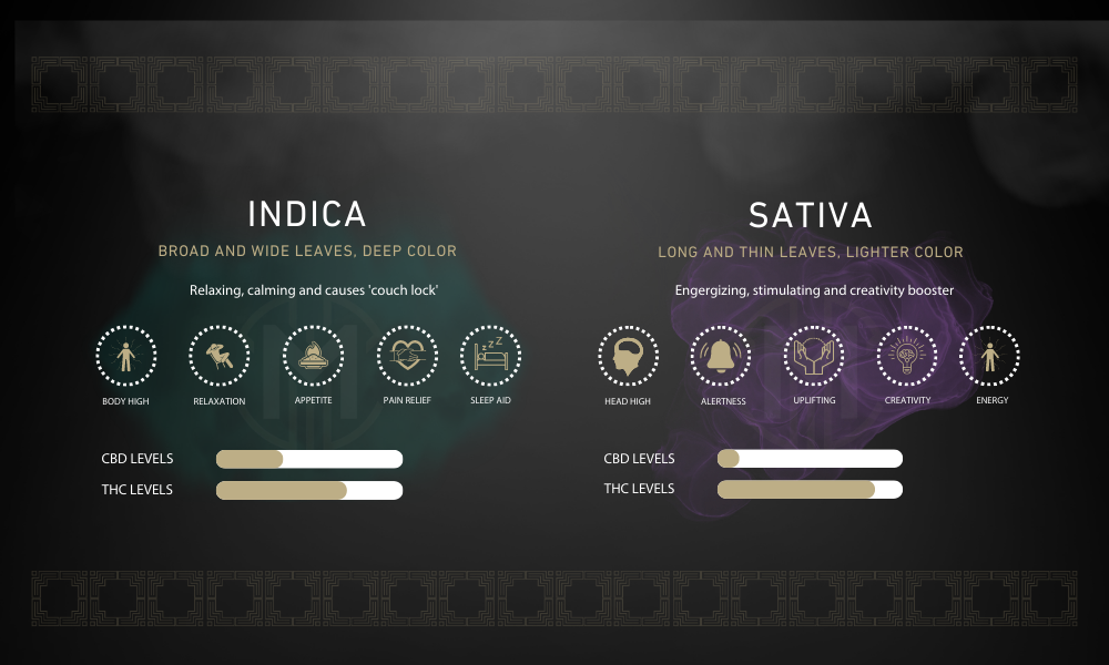 Indica vs. Sativa